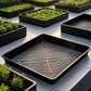 10 Pack Seedling Tray Fine Holes Plant Propagation Seedling Hydroponic Square