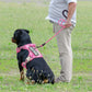 Tactical Dog Harness with Handle Reflective No Pull Military Working Vest