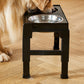 Dog Bowl Stand 5 Height Adjustable Raised Feeder with 2 Stainless Steel Bowls-Black
