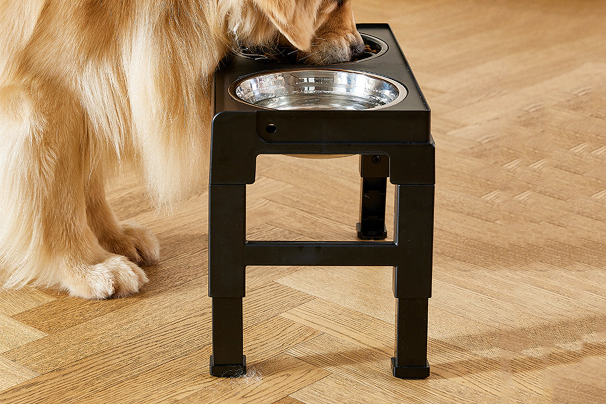 Dog Bowl Stand 5 Height Adjustable Raised Feeder with 2 Stainless Steel Bowls-Black
