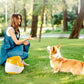 Pet Tennis Ball Toy Automatic Launcher Machine with 3 Balls