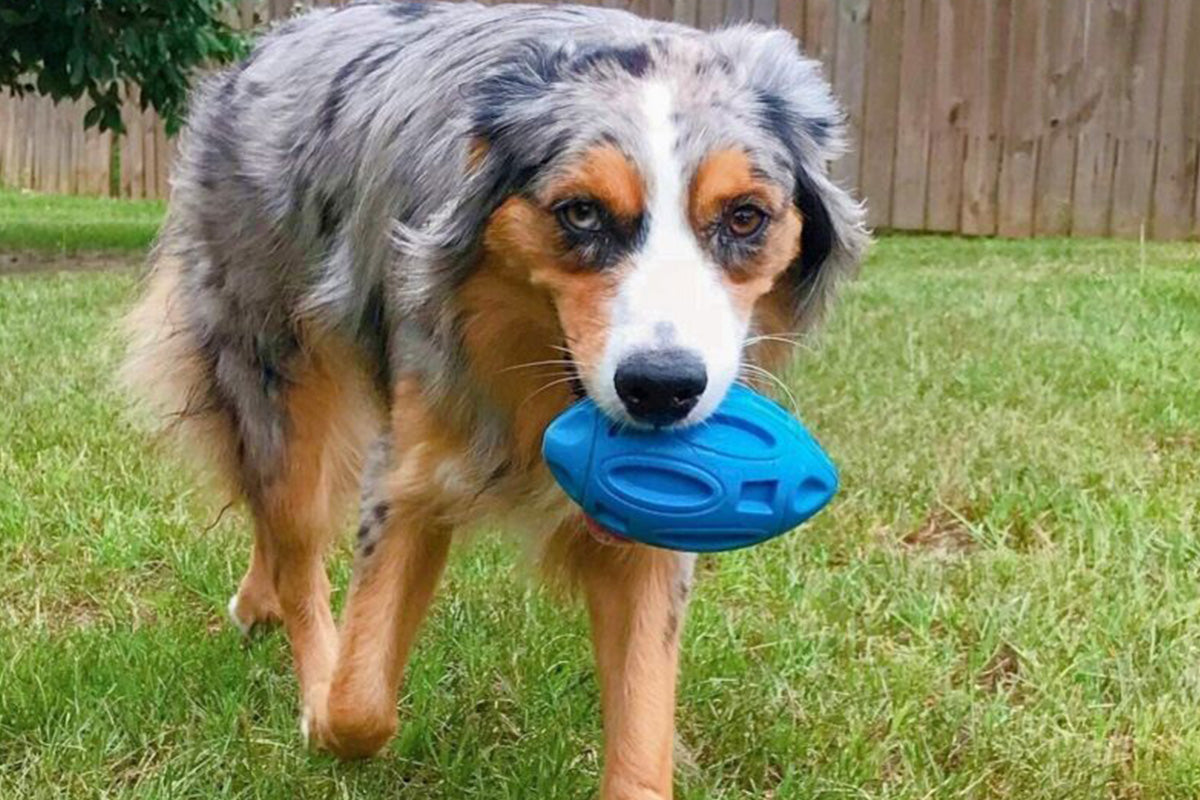 Puppy Chew Ball With Squeaker Dog Chew Toys Squeaky Dog Toys For Aggressive Chewers
