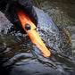Handheld Water-resistant Metal Detector Automatic Pinpointer for Treasure Hunter