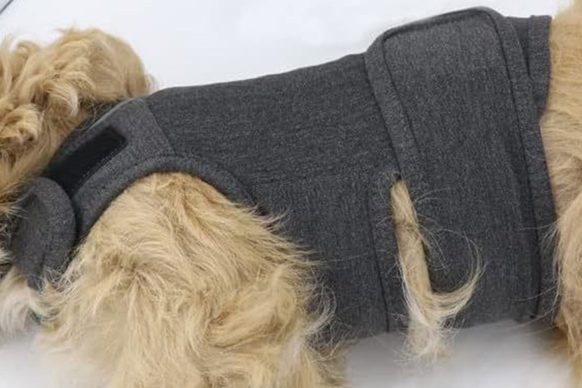 Pet Anxiety Relief Vest Dog Adjustable Calming Wrap for Thunderstorms Travel