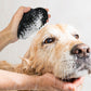 2 Pack Pet Grooming Brush Set Deshedding Double Sided Comb Massage Brush for Cats Dogs Horses