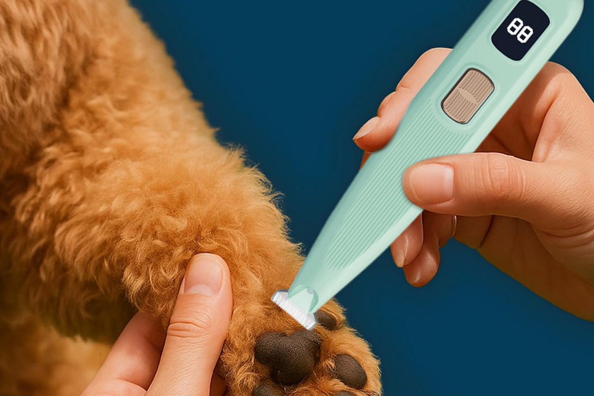Dog Paw Trimmer with LED Light Cordless Digital Display Dual Speed Pet Groomer for Cats Dogs
