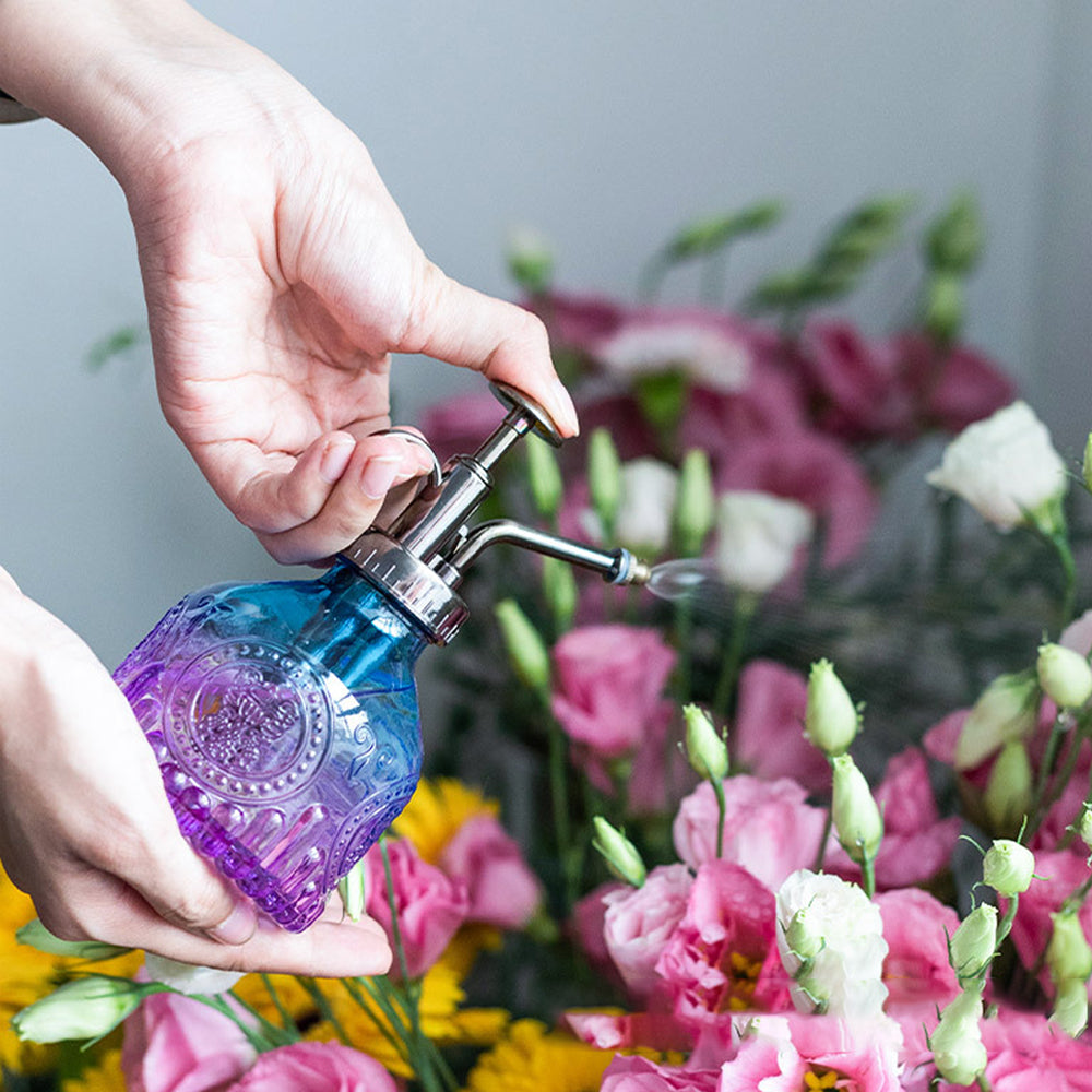 Glass Plant Mister Spray Bottle for Indoor Outdoor House Plant