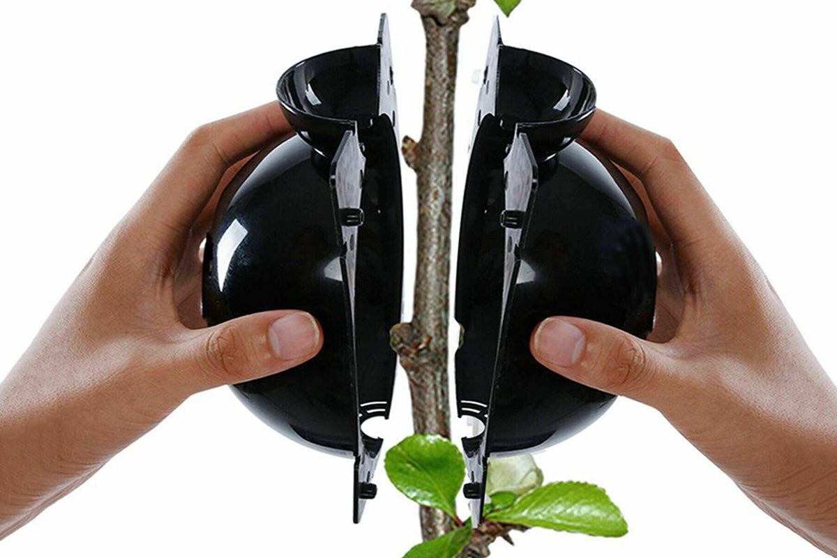 10PCS Plant Rooting High Pressure Propagation Ball Root Grow Grafting Box for Indoor Outdoor Plants