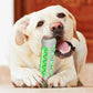 Dog Toothbrush Rubber Bone Chew Toy