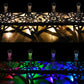Solar Garden Lights with Warm White and Colorful Modes 4-Pack for Outdoor Lighting