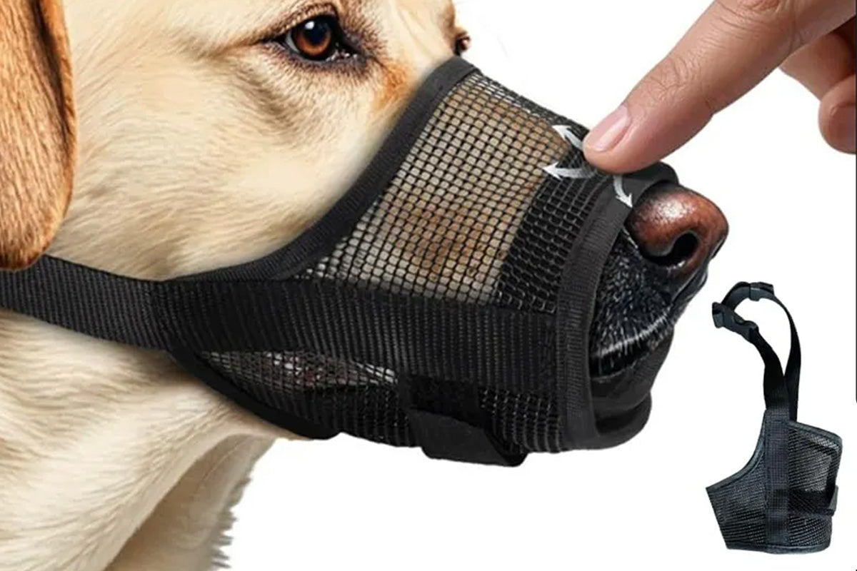 Dog Muzzle Air Mesh Adjustable Mouth Guard for Bark and Scavenging Prevention-Black