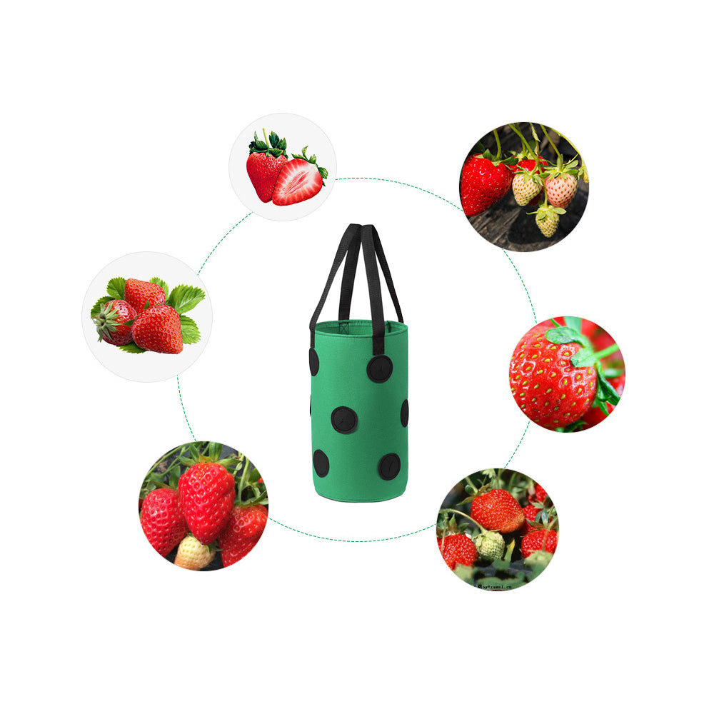 2Pcs 3 Gallon Grow Bag for Strawberry Vegetables with 12 Planting Holes