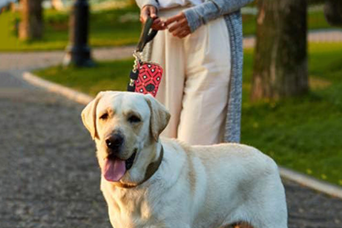 Pet Pouch Dog Poop Bag Holder Poo Waste Bags Container For Leash