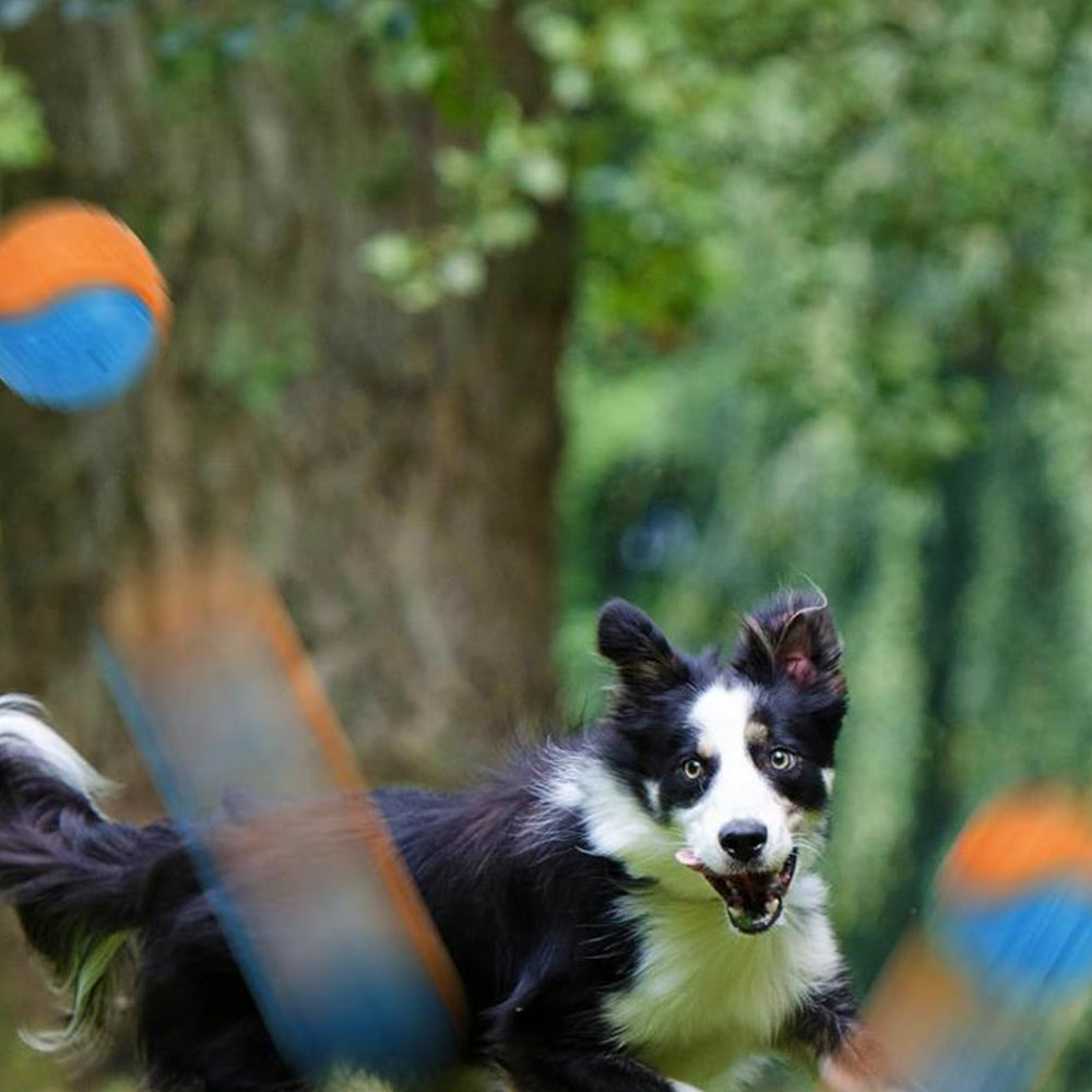 4Pcs 6.5CM Pet Interactive Playing Toy High Bouncy Vibrant Color Squeaky Rubber Balls