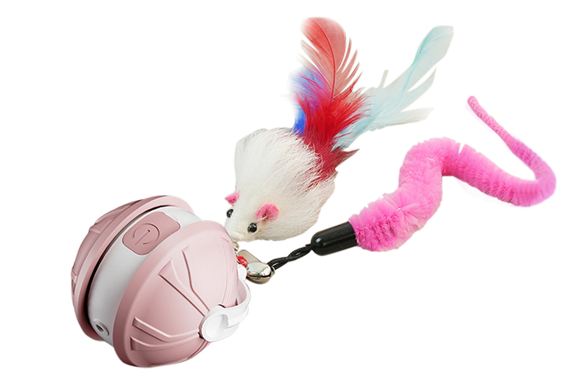 Interactive Dog Toys Electric Automatic Smart Pet Toys Rolling Ball Toys For Small Dogs
