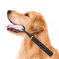 Dog Plaque And Tartar Remover Electric Dogs Teeth Cleaning Kit Ultrasonic Pet Teeth Cleaner