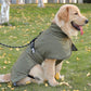 Waterproof Dog Jacket Winter Coat with Buckle and Reflective Strips-Green