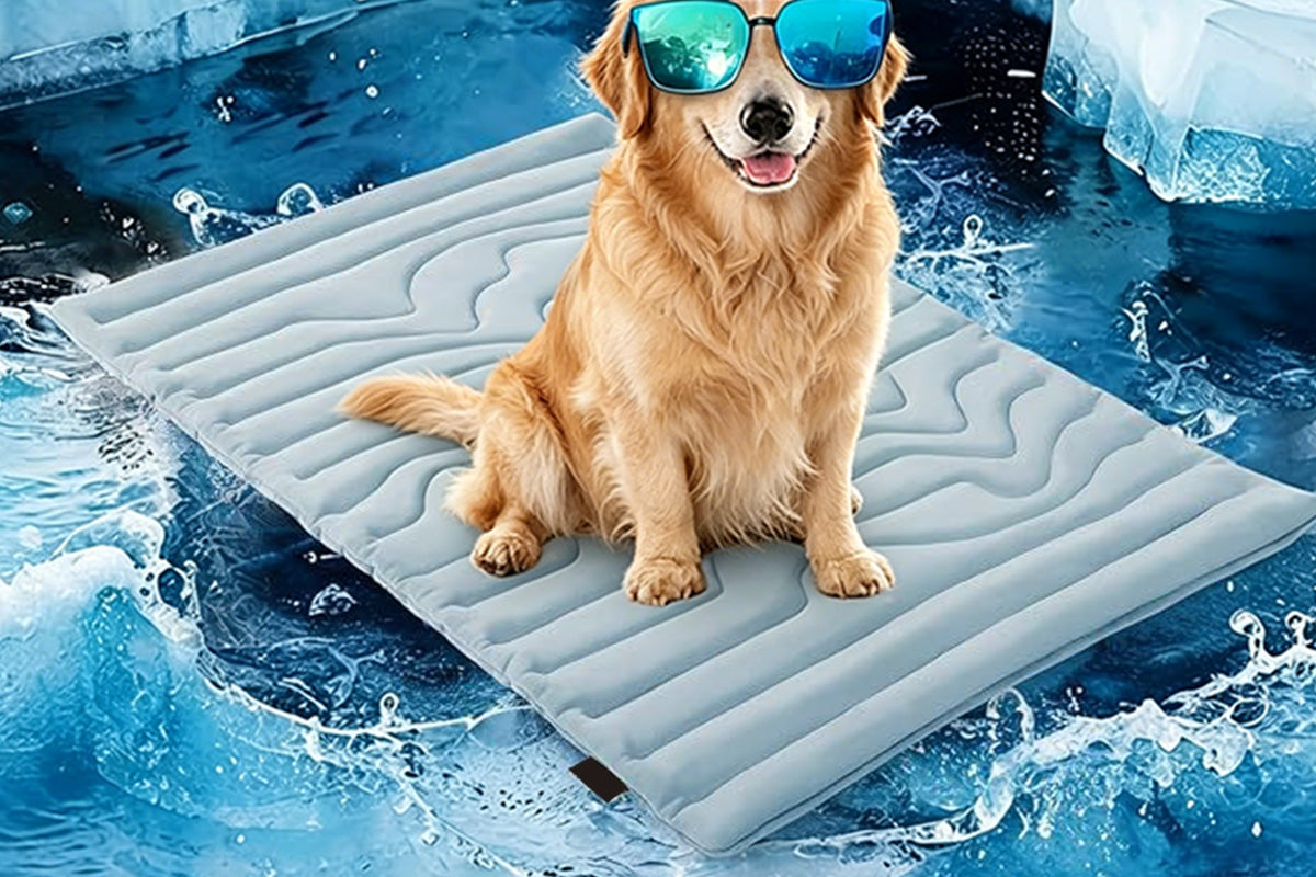 Scratch Resistant Summer Cooling Mat for Pet