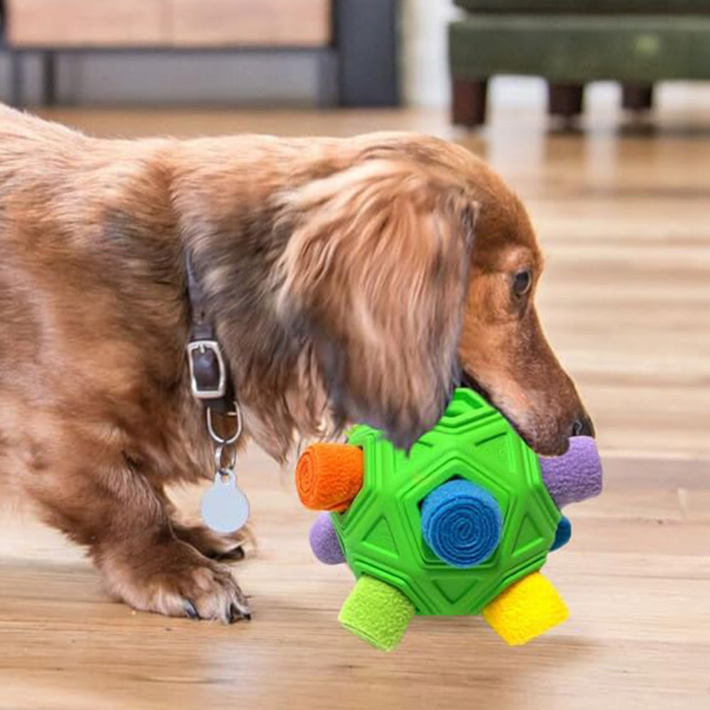 Dog Snuffle Ball Slow Feeder Puzzle Toy for Treats