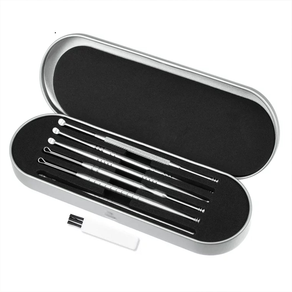6Pcs Stainless Steel Ear Cleaning Tool Set with Storage Case