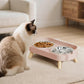 Elevated Double Stainless Steel Pet Food and Water Bowl Set