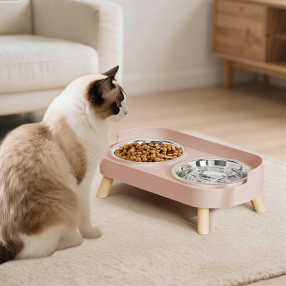 Elevated Double Stainless Steel Pet Food and Water Bowl Set