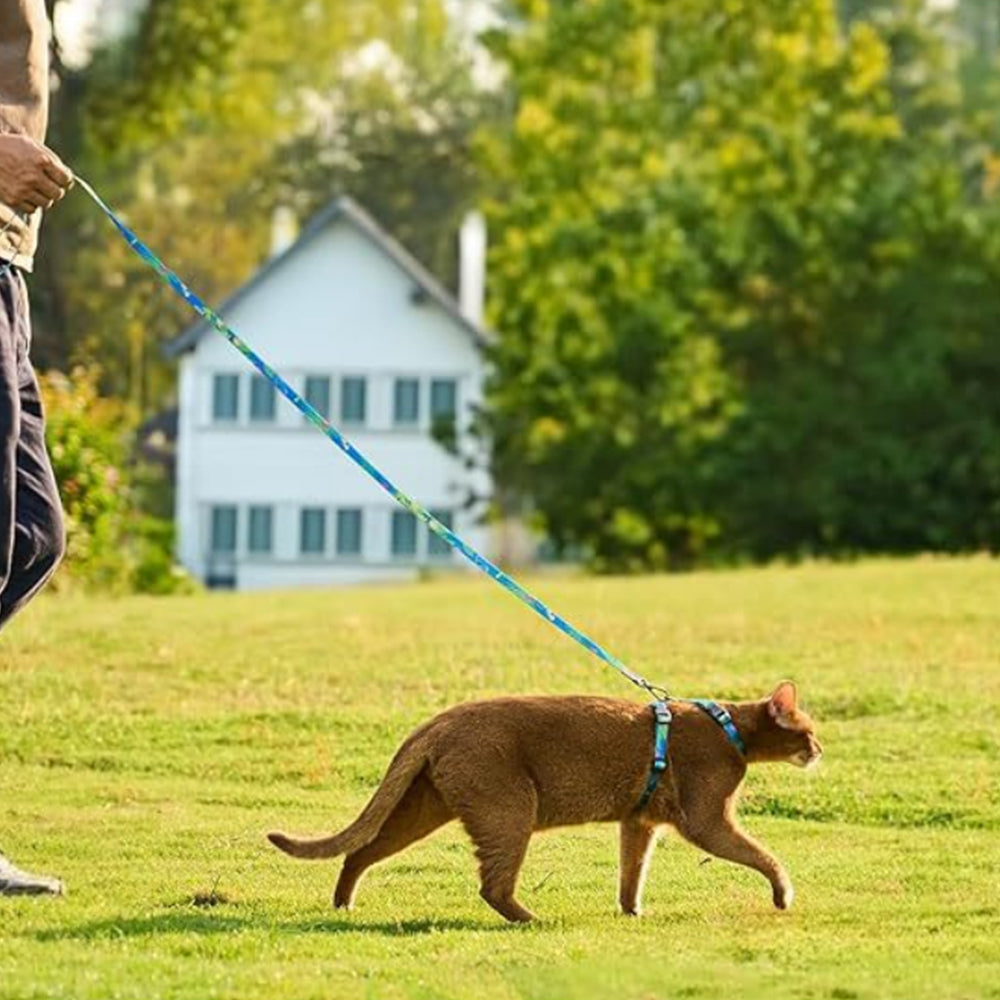 2Pcs Cat Adjustable Harness and Leash Set