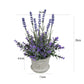 3Pcs Mini Potted Artificial Plastic Green Plants-Lavender