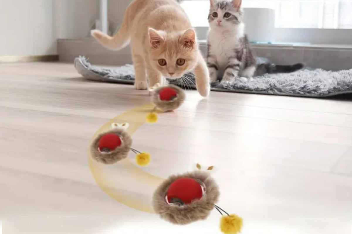 Interactive Cat Toys Ball Electric Motion Activate Cat Toy Hide and Seek Mouse Catching Game