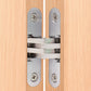 Stainless Steel 180 Degree Concealed Hinge for Cabinet Doors