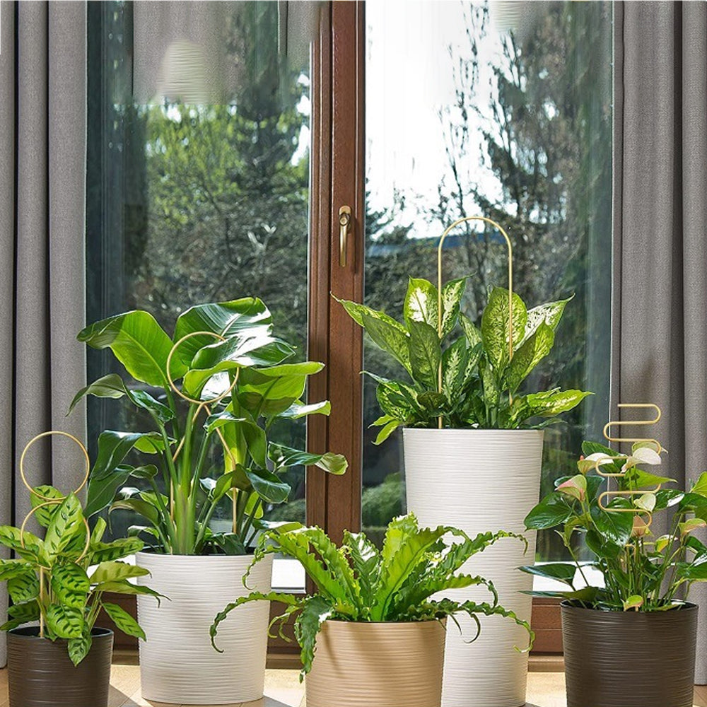 4Pcs Plant Trellis Metal Potted Houseplant Trellis Climbing Plants Support Stake