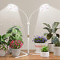LED Grow Light Dual Head Full Spectrum Adjustable Plant Lamp for Indoor Plants