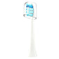 Single Replacement Toothbrush Head with Dust Cover Compatible with Philips Electric Toothbrush Models