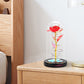 Eternal Rose Night Light in Glass Dome with LED