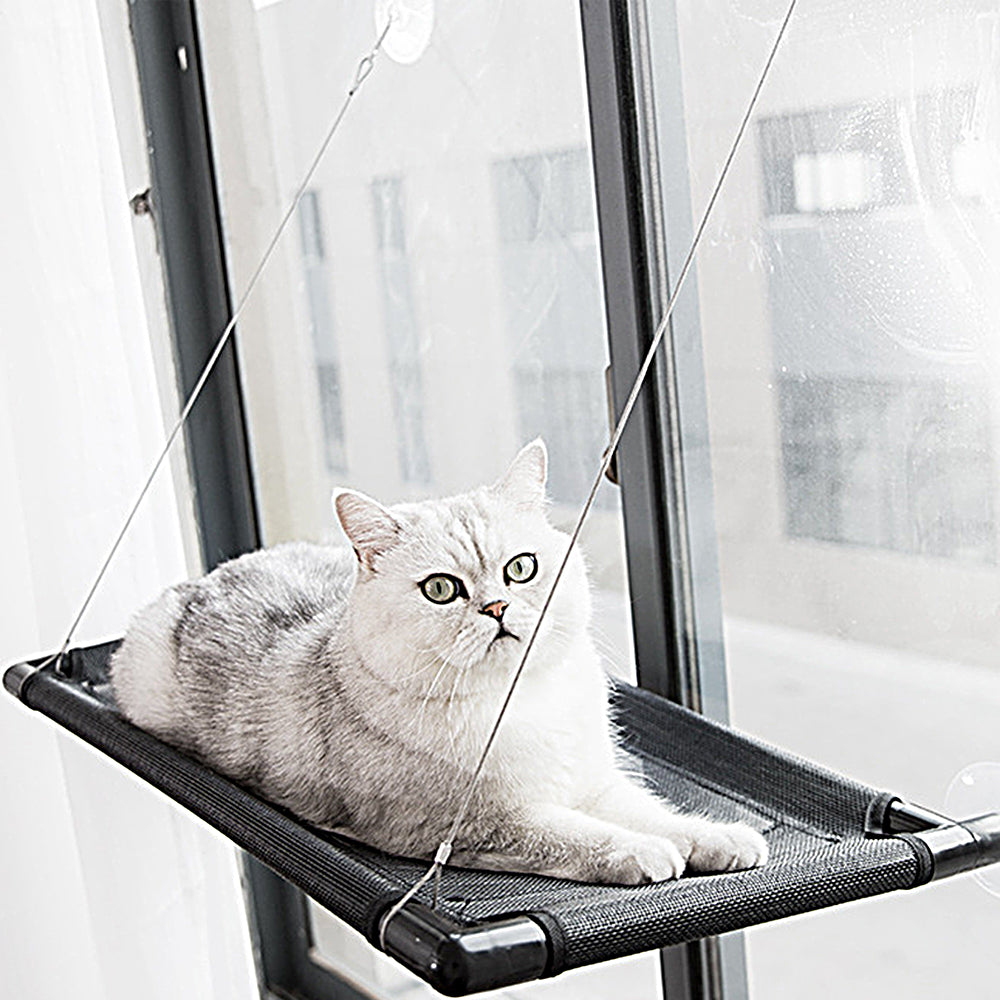 Cat Window Mounted Perch Hammock for Indoor Cats Resting