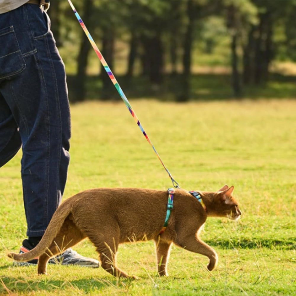 Cat Adjustable Harness and Leash Set