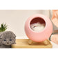 LED Cat Night Light for Bedroom Room Decoration Table Bedside Sleep Lamp