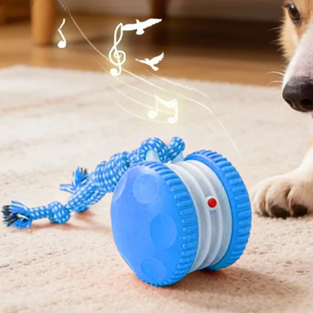 Interactive Pet Rolling Ball Toy Rechargeable Automatic Play Ball for Cats and Dogs
