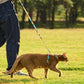2Pcs Cat Adjustable Harness and Leash Set