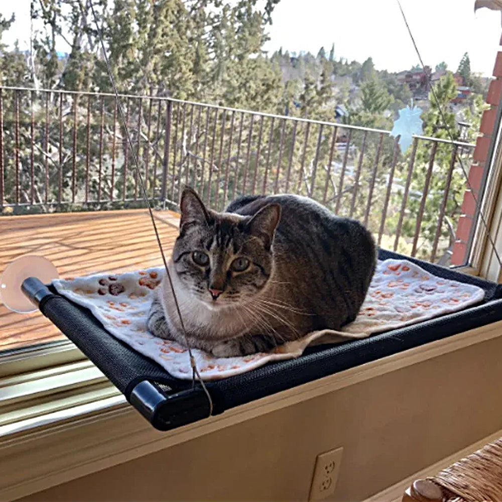 Cat Window Mounted Perch Hammock for Indoor Cats Resting