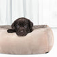 Soft Plush Pet Bed with Raised Sides Calming Nest-Camel