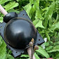 10PCS Plant Rooting High Pressure Propagation Ball Root Grow Grafting Box for Indoor Outdoor Plants