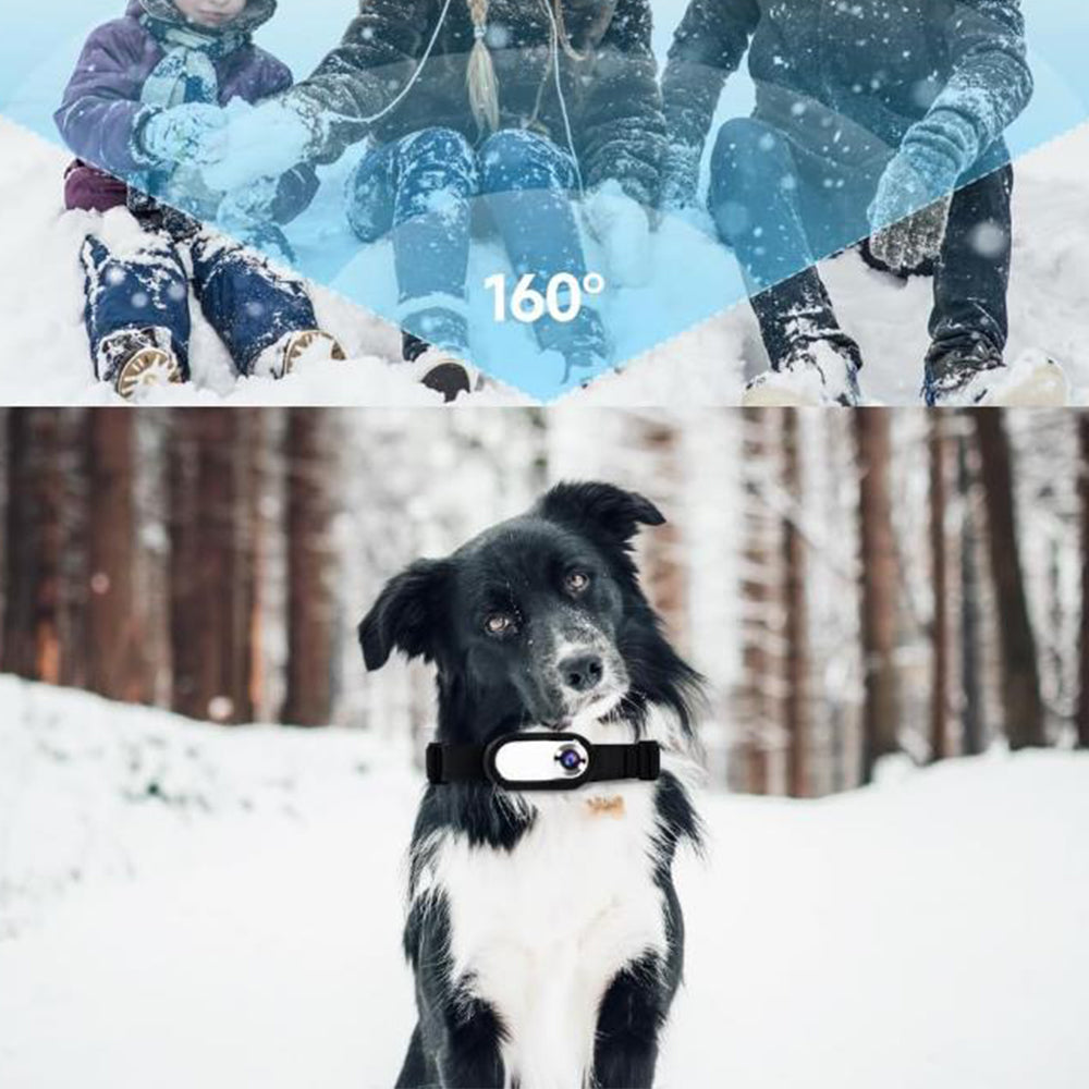 2Pcs Pet Sport Action Camera Collar