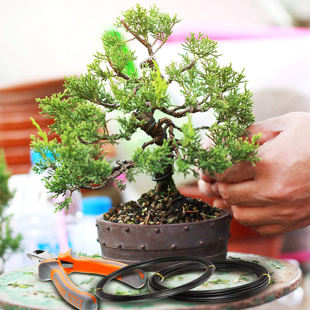 2 Rolls Anodized Aluminum Bonsai Training Wires