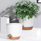3Pcs Round Self Watering Planters Pot with Drainage Hole and Tray