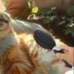 2 Pack Pet Grooming Brush Set Deshedding Double Sided Comb Massage Brush for Cats Dogs Horses