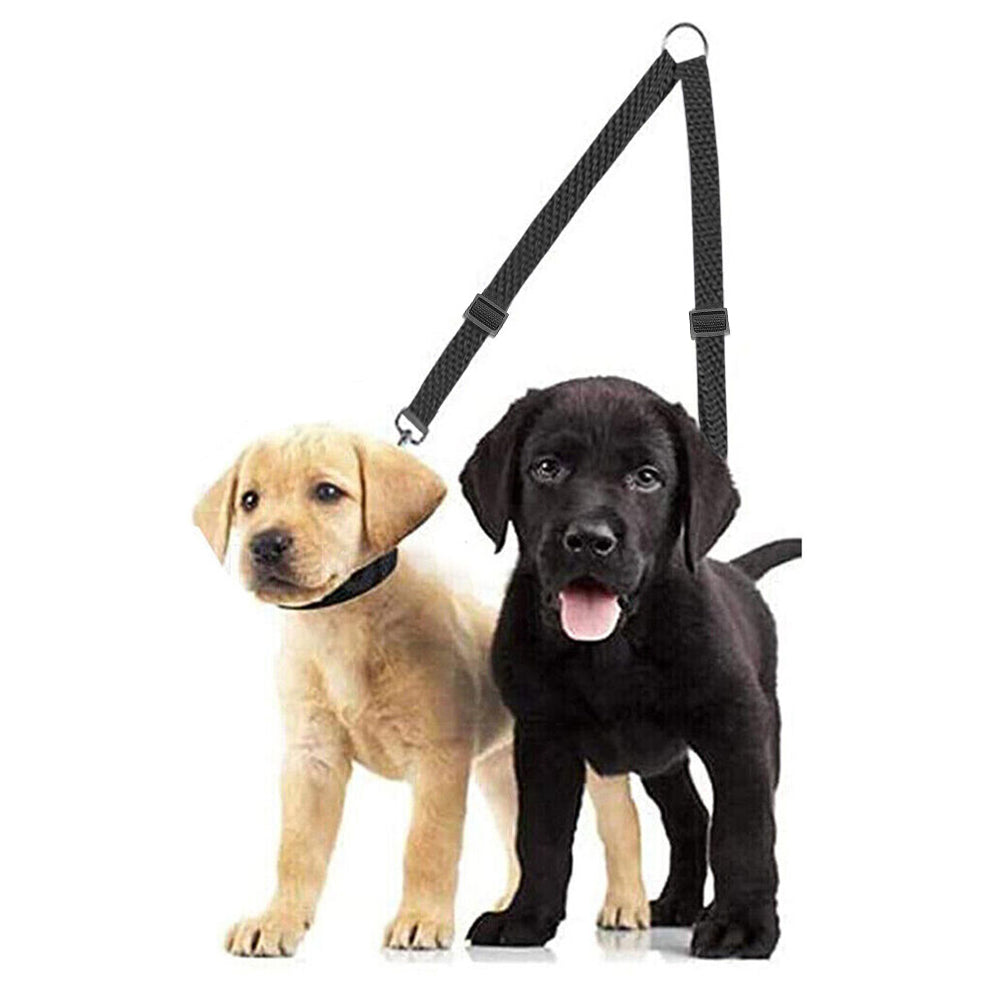 Dual Dog Leash with One Lead Coupler Nylon Harness