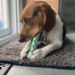 Dog Toothbrush Rubber Bone Chew Toy
