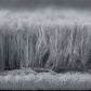Non Slip Shaggy Bath Mat Ultra Soft Thick Fluffy Pile Non Slip Bath Rug-Grey