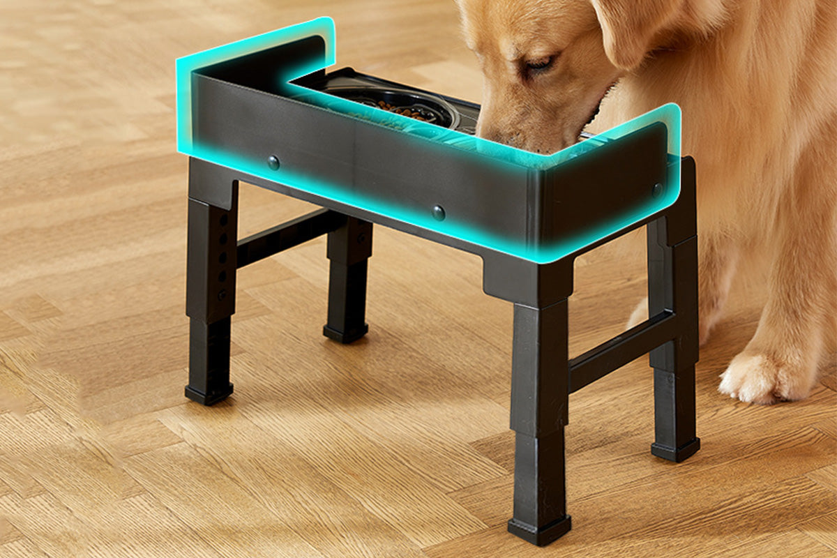 Dog Bowl Stand 5 Height Adjustable Raised Feeder with 2 Stainless Steel Bowls-Black
